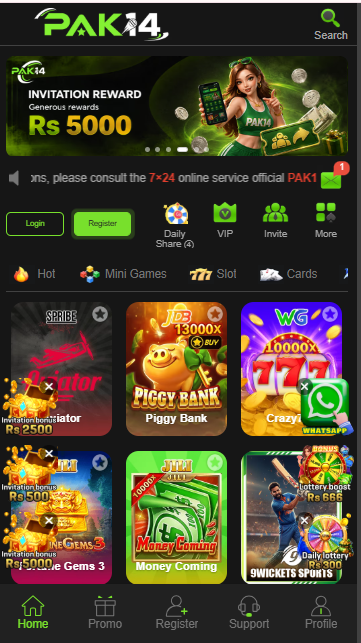 Pak14 Game image 2026