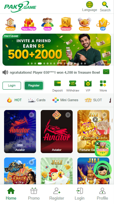 Pak9 Game image 2026
